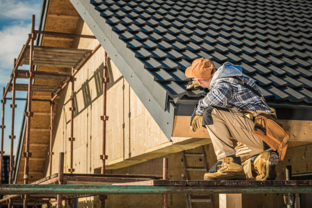 Best Roof Insulation Installation  in Third Lake, IL