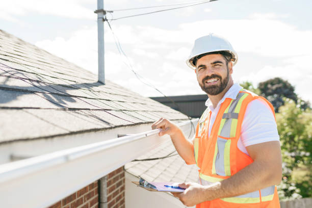 Best Chimney Flashing Repair  in Third Lake, IL